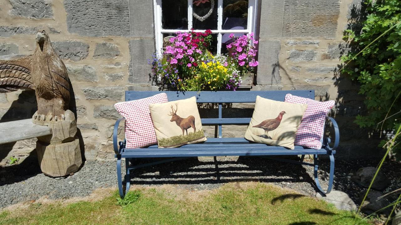 Parkhead House Bed & Breakfast Норт Куинсфери Екстериор снимка